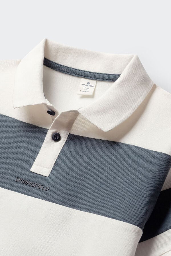 The Classic Springfield Stripe Polo